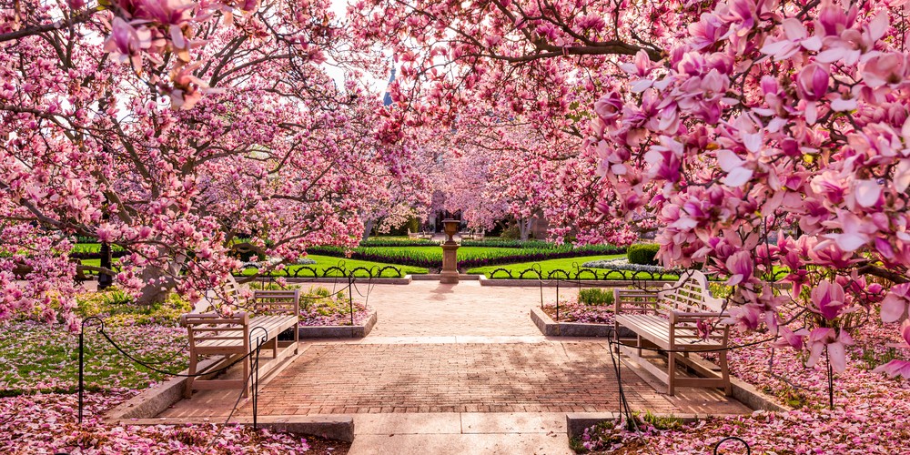 お花見デートは東京で 美しい夜桜が見えるレストラン 5選 Smartlog