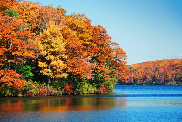 秋の紅葉デート