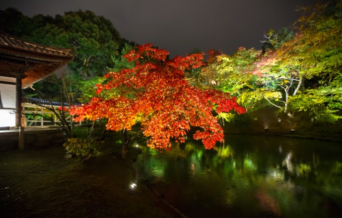 高台寺で紅葉デート