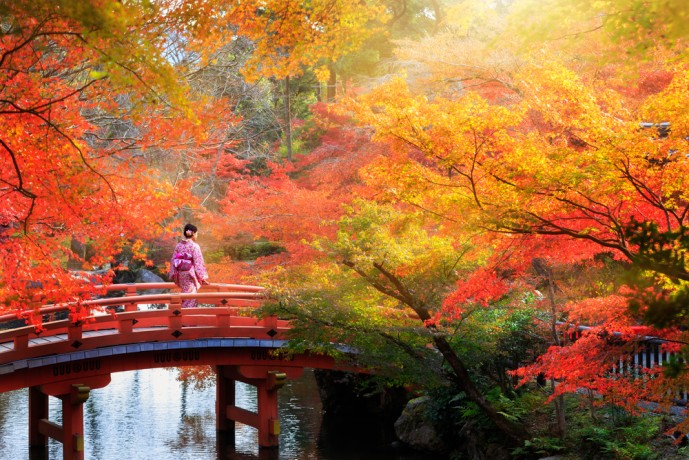 東山で魅惑の紅葉デート