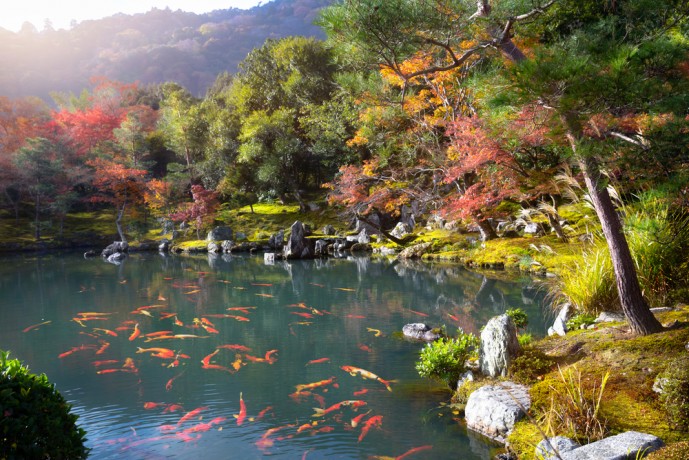 天龍寺で紅葉デート