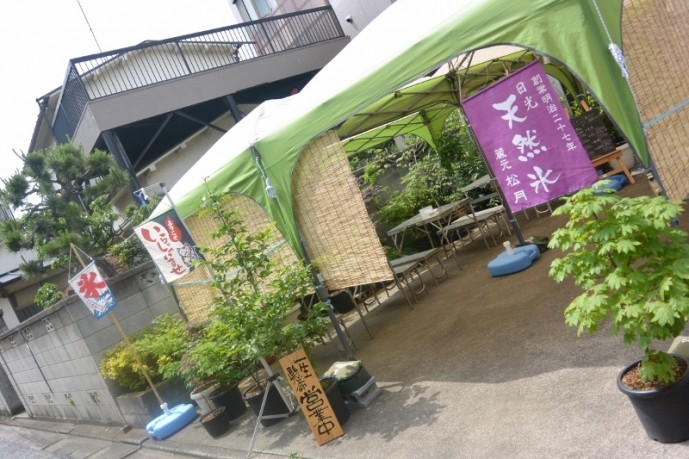かき氷 椛屋