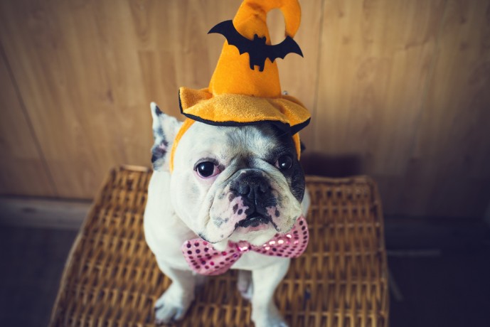 ハロウィンナンパのお持ち帰り注意点