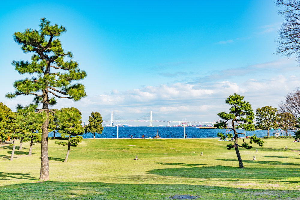 横浜みなとみらいデート臨港パーク